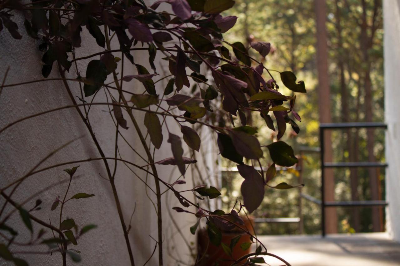 Encino House Vila Valle de Bravo Exterior foto